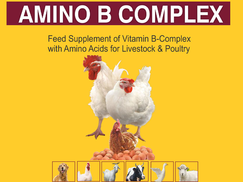 Amino B Complex poultry Uganda