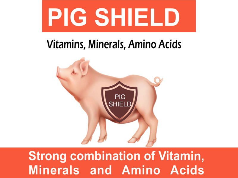 Pig Shield pig supplement Uganda