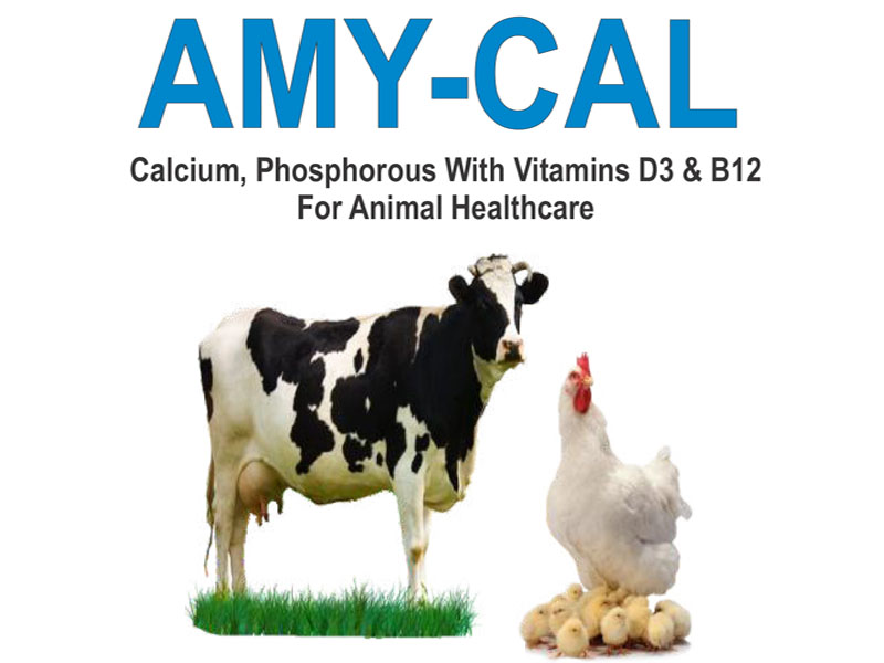 Amy-Cal calcium supplement poultry Uganda